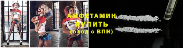прущие грибы Сатка
